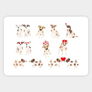 Jack Russell Terriers Sticker